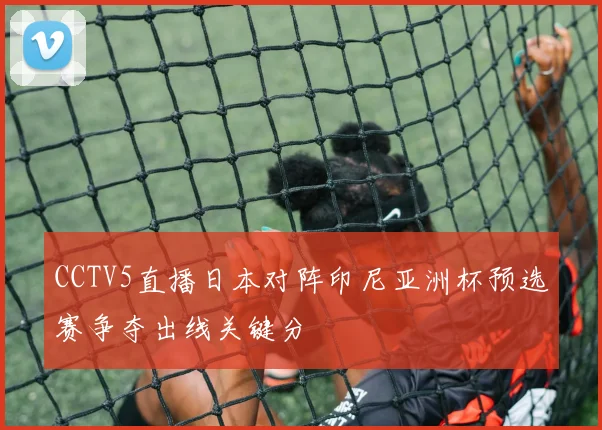 CCTV5直播日本对阵印尼亚洲杯预选赛争夺出线关键分